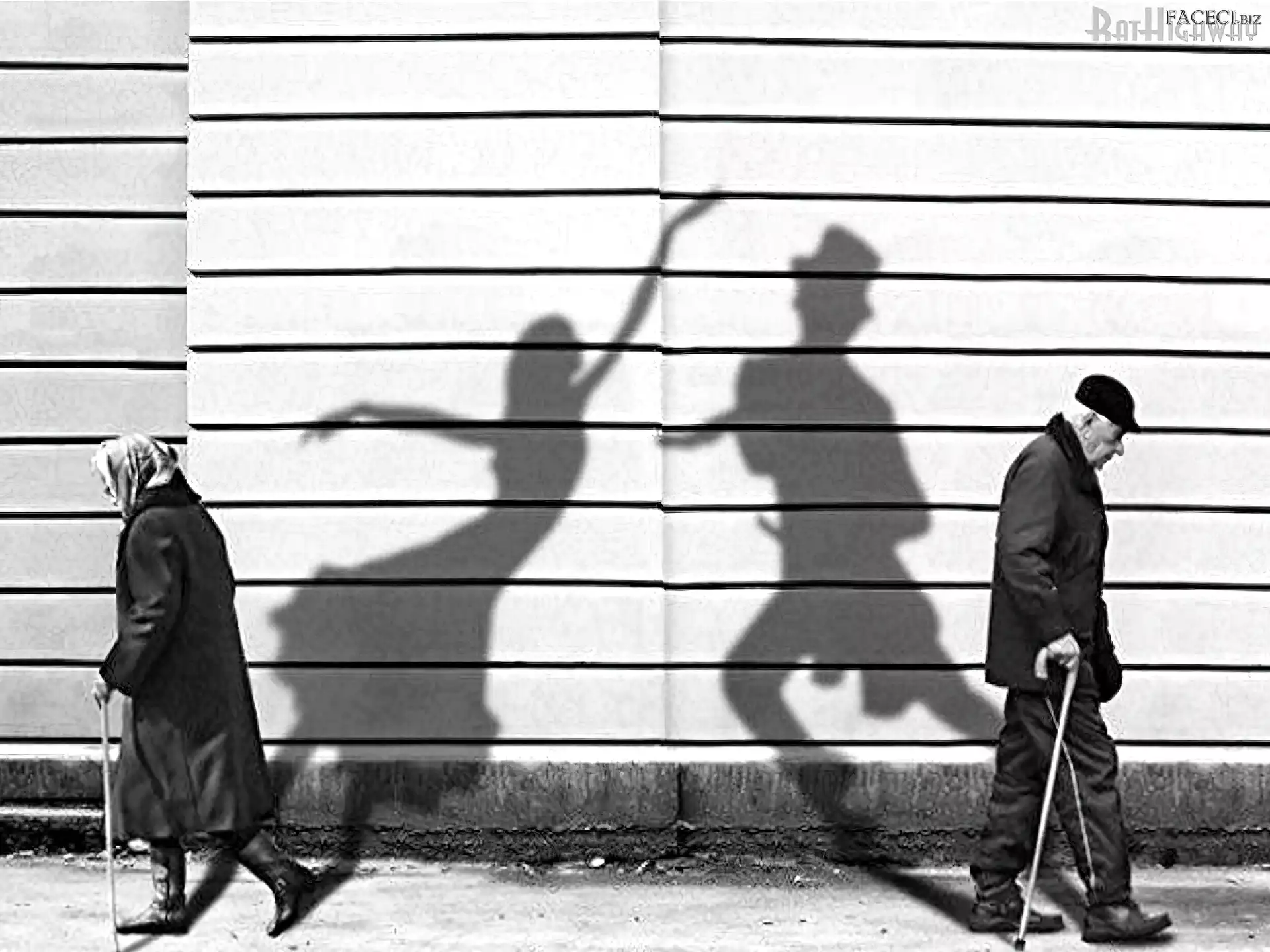 Cienie, Dziadkowie, Młode