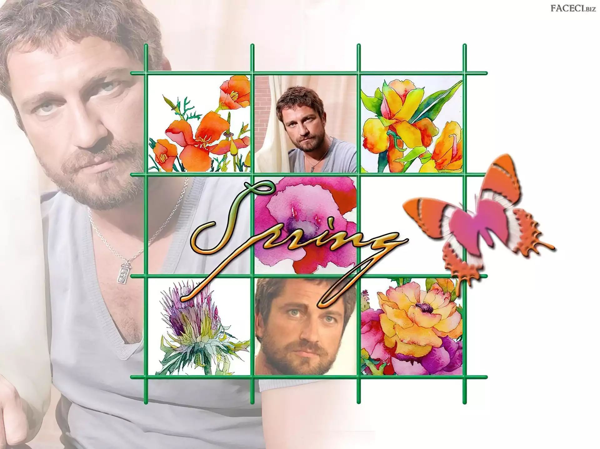 motylek, Gerard Butler, spring